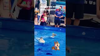 Twiggy The Water Skiing Squirrel  Fort worth MayFest 2024  DFW Events  Texas adventures [upl. by Lewendal64]