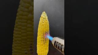 Powerful Lighter vs Corn [upl. by Yolanthe]