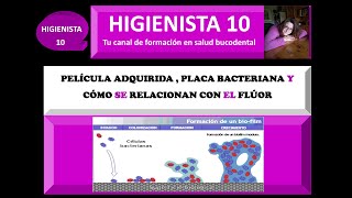 PELÍCULA ADQUIRIDA DENTAL PLACA BACTERIANA Y CÓMO SE RELACIONAN CON EL FLÚOR TEMARIO GENERAL 31 [upl. by Koo]