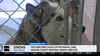 Washoe County raising fees and fines for animals [upl. by Edgerton176]