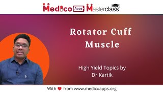 Rotator cuff muscles NEET PG  NeXT PG  AIIMS PG  INI CET  FMGE [upl. by Arval]