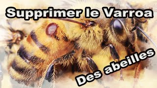 Comment supprimer le varroa de ses ruches  Apiculture apilife var [upl. by Corty697]