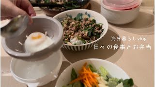 スタミナ丼、机周りを掃除【海外暮らしvlog日々の食事とお弁当】 [upl. by Hamilton]