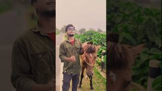 o kolijar Pakhi Re❤️O Poraner Pakhi Re❤️ও কলিজার পাখি fyptiktokshortvideosটিকটকforyoutiktok [upl. by Mcclain]