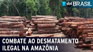 Desmatadores são condenados a pagar mais de R 300 milhões em indenizações  SBT Brasil 240224 [upl. by Fawnia658]