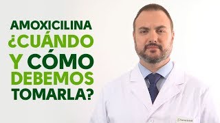 Amoxicilina cuándo y cómo debemos tomarla Tu Farmacéutico Informa [upl. by Yenttihw]