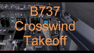 B737 Crosswind Takeoff [upl. by Winstonn]