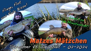 Matze Koch Fliege vs Deadbait  Matzes Mätzchen 022024 [upl. by Karame253]