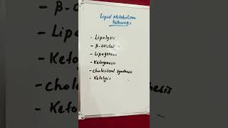 Lipid Metabolism Pathways lipids lipid metabolism metabolic [upl. by Enyawad625]