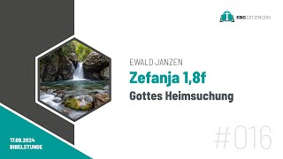 016 Zef 18f  Gottes Heimsuchung Bibelstunde Ewald Janzen [upl. by Frohne18]