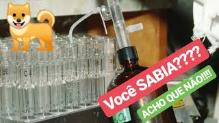 Entenda de modo simples como uso clorexidina nos cães [upl. by Iuqcaj]