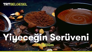 Yiyeceğin Serüveni  Çikolata  TRT Belgesel [upl. by Ztnarf811]