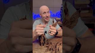 How cigars get flavor transitions cigarsdaily cigars [upl. by Cita]