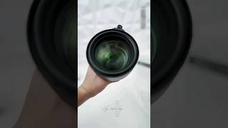 Sigma 105mm f14 DG HSM Art Lens unboxing amp photography 4k [upl. by Juana]