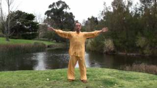 Ziran Qigong Level 1 Form  1st Half [upl. by Llerrej]