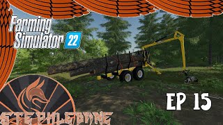 Farming Simulator 22  Achat de la Scierie  Chantier de Bois  The Old Stream Farm  EP 15 [upl. by Yrojram]