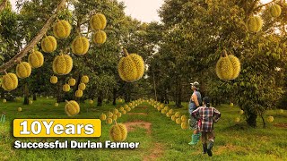 Full Video10Years Two couples build durian farm successful Plant challenge Harvest farmer living [upl. by Lauhsoj]