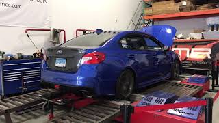 2017 WRX CVT Stage 3 Dyno Pull 300 whp 370 tq [upl. by Nahn570]