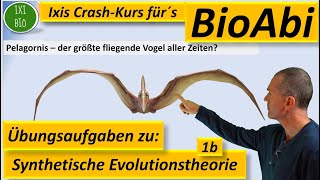 Synthetische Evolutionstheorie 1b  Anwendungsaufgaben zur Vorbereitung aufs Abitur Teil B [upl. by Rosenblatt]