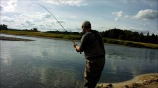 Salmon Fishing on the Miramichi River [upl. by Ramhaj]