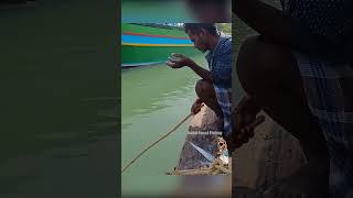 Unique Way of Rabbit fish Fishing in River fishingislife fishing bestfishingtechniques [upl. by Littman]