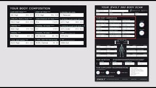 Your Evolt 360 Body Composition Scan results explained [upl. by Ysset61]