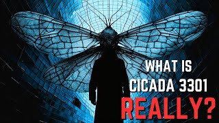 What actually Is The CICADA 3301 MYSTERY [upl. by Enidlarej]