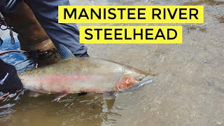 Manistee River Steelhead  Michigan 2001 [upl. by Claman]