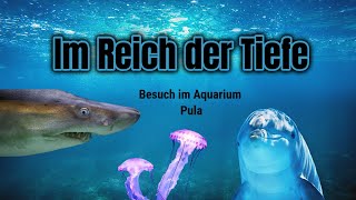 1000Km mit dem Auto nach Kroatien Im Reich der Tiefe  Besuch im Aquarium Pula  Kroatien Teil 4 [upl. by Dahsraf]