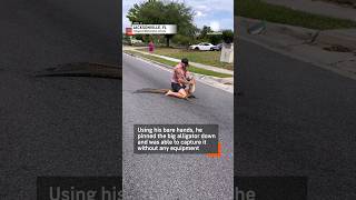 Florida Man Wrestles Alligator As Police Watch [upl. by Leigha487]