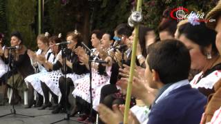 Navidad en los Patios de Córdoba  Zambomba Flamenca Jerezana [upl. by Nohsav]