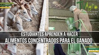 Estudiantes Aprenden a hacer Alimentos Concentrados Para el Ganado  TvAgro por Juan Gonzalo Angel [upl. by Postman910]