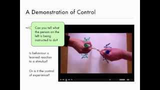 Visual Demonstrations and Introduction to Perceptual Control Theory [upl. by Harrod]