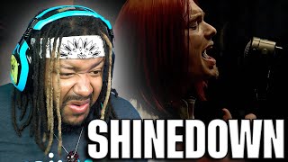 Shinedown  Simple Man REACTION [upl. by Leiahtan7]