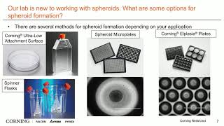 The Best Methods and Options for Spheroid Formation [upl. by Mickey468]