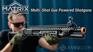 The BEST Gas Shotguns  Matrix x Golden Eagle Shotguns  Review [upl. by Simmons]