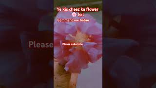 Ji me karke fly aawa viral video please subscribe [upl. by Iclehc]