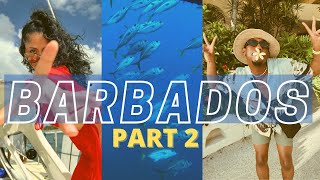 THE HOME OF RIHANNA 🇧🇧 BARBADOS VLOG Part 2  RUSHCAM [upl. by Attiuqahs]