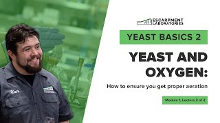 How to ensure proper aeration  Yeast Basics 2 Lecture 2  Escarpment Labs [upl. by Eeresid]