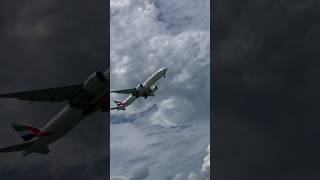 Beautiful flight flying Videoshortsvideos tendingvideo youtubeshorts flight viralvideos [upl. by Tirma]