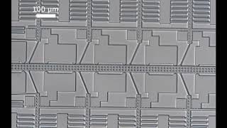 Close Up Of A Substrate Spring Deflected By an Electrostatic Inchworm Motor [upl. by Barnabas566]