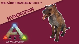 Hyaenodon zähmen Schnell und einfach für hohe Taming Effectiveness [upl. by Icul]