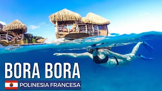 Bora Bora  Una belleza de la Polinesia Francesa [upl. by Esenaj270]