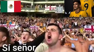 🇲🇽Wolves fans singing Raúl Jiménez song Sí señor at various stadiums [upl. by Eelyrehc]