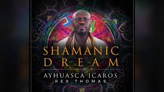 Ayahuasca Shamanic Dream Ayahuasca Icaros  Rex Thomas ear or headphone recommended [upl. by Lewanna]