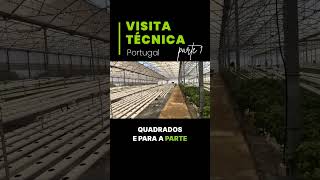 Recentemente em visita técnica em Portugal e conferimos de perto uma produção impressionante [upl. by Leta]