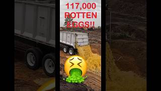 117000 Rotten Eggs 🤮 gross [upl. by Gomez]