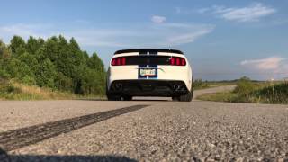 2017 Shelby GT350 Shifteck Resonator Deletexpipe revs [upl. by Anaul14]