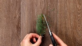 Weihnachtsbaum im Glas als DIY Weihnachts Deko [upl. by Adaran149]