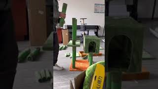 VIDEO TUTORIAL CAT TREE TOWER BURMILLA CACTUS [upl. by Ainwat238]